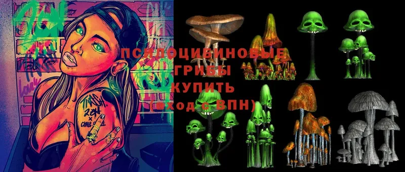 Галлюциногенные грибы Psilocybine cubensis  где найти   Кяхта 